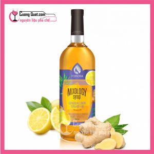 Syrup PoMoNa Gừng & Chanh 1L