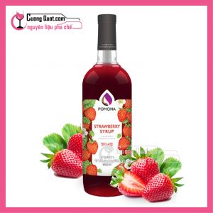 Syrup PoMoNa Dâu 1L(Mua 6 Chai giảm 5k/ 1 chai)