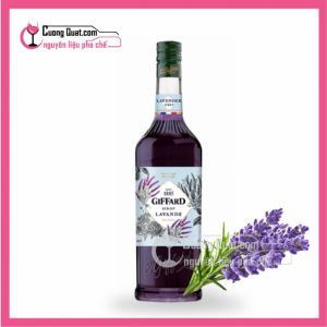 Siro Giffard Lavender 1L (Mua 6 Chai giảm 5k/ 1 chai)