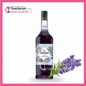 Siro Giffard Lavender 1L(Mua 1 thùng giảm 2k/ 1 chai)