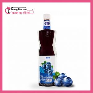 Siro GTP Việt Quất 930ml (12 CHAI GIẢM 2K/ 1CHAI, CÓ THỂ MIX)