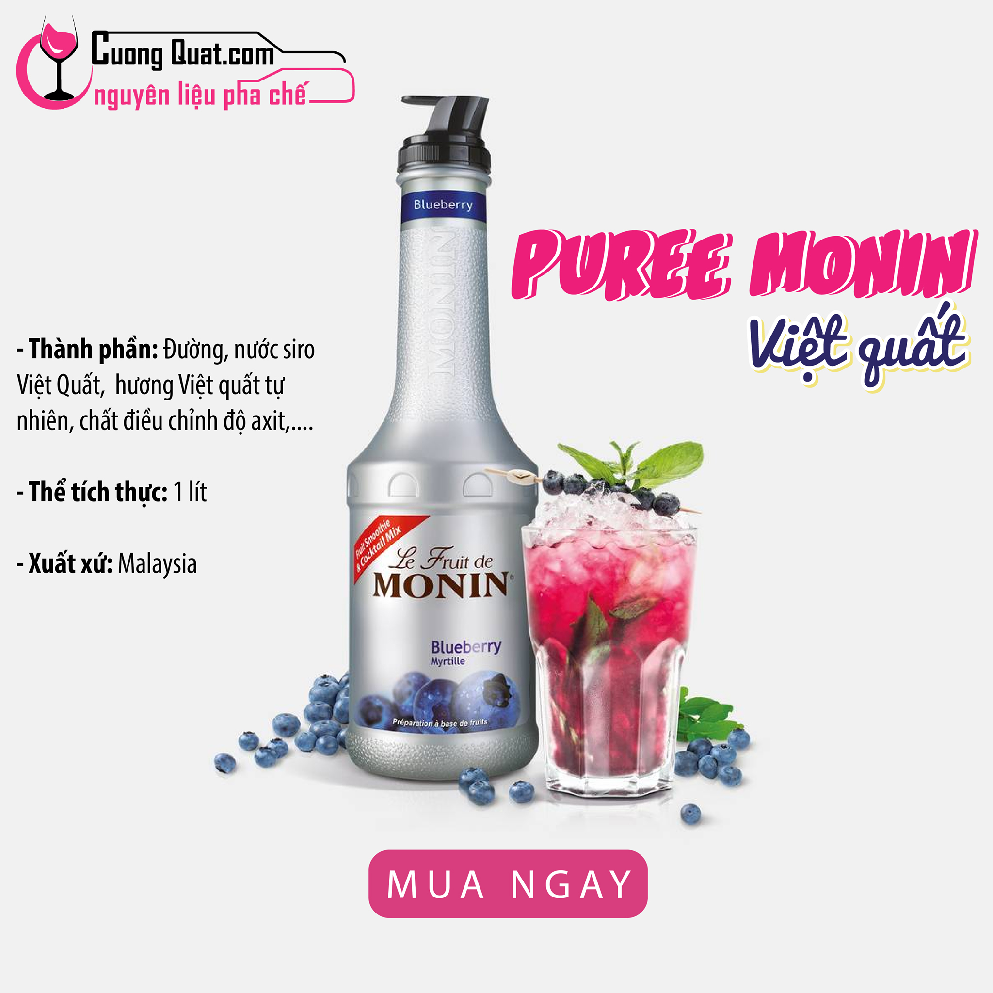 puree_monin_viet_quat